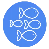 Sealife